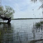 Plauer See