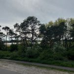 Parkplatz vor der Haustür