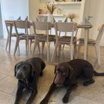 PHOTO-2025-06-10-07-21-40 2